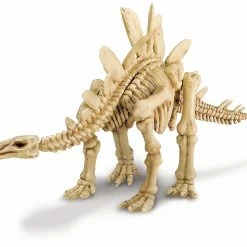 4M KIDZ LABS DINOSAUR EXCAVATION KIT STEGOSAURUS 6 4M KIDZ LABS DINOSAUR EXCAVATION KIT STEGOSAURUS -Mathematics Shop 4M SCIENCE STEGOSAURUS EXCAVATION KIT 4893156032294 3229 2 c3d66ce0 51f9 4479 887b 702e19c2d88c