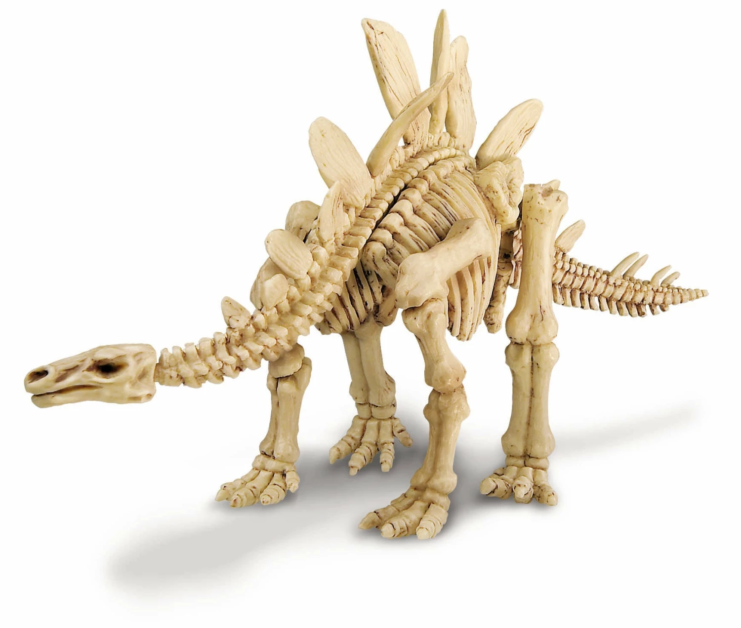 4M KIDZ LABS DINOSAUR EXCAVATION KIT STEGOSAURUS 4 4M KIDZ LABS DINOSAUR EXCAVATION KIT STEGOSAURUS - Image 2