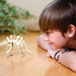 4M KIDZ LABS DINOSAUR EXCAVATION KIT STEGOSAURUS 7 4M KIDZ LABS DINOSAUR EXCAVATION KIT STEGOSAURUS -Mathematics Shop 4M SCIENCE STEGOSAURUS EXCAVATION KIT 4893156032294 3229 3 9f6647b1 dae5 4664 829a 4bd6aa0d28e7 scaled