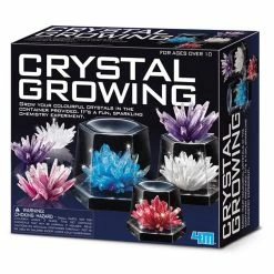 Mathematics Shop -Mathematics Shop Crystal Growing Kit Large 4893156039156 FSG3915