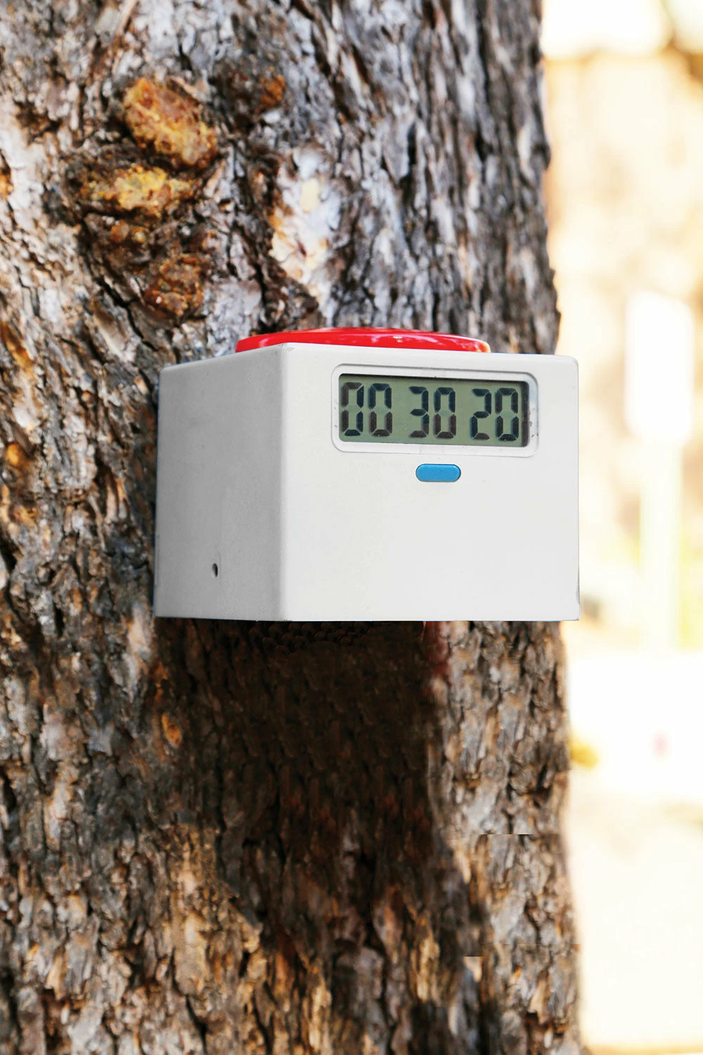 B4Adventure SLACKERS NINJA TIMER 5 B4Adventure SLACKERS NINJA TIMER - Image 3