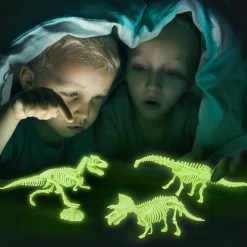 TOYWORLD MINI DIG GLOW-IN-THE-DARK DINO SKELETON ASSORTED STYLES -Mathematics Shop T60907 769700070927 20 20Lifestyle
