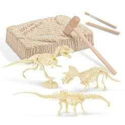 TOYWORLD MINI DIG GLOW-IN-THE-DARK DINO SKELETON ASSORTED STYLES -Mathematics Shop T60907 769700070927 20 20Out 20of 20Box