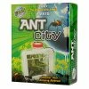 Wild! Science WILD SCIENCE ANT CITY -Mathematics Shop Wild Science Ant City 9313920040522 42072